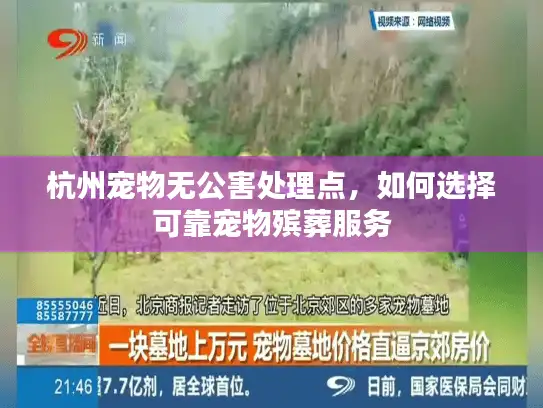 杭州宠物无公害处理点，如何选择可靠宠物殡葬服务