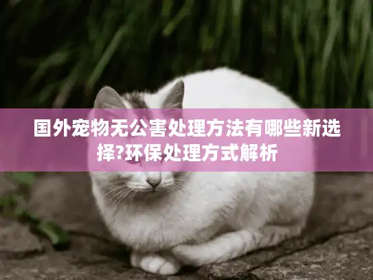 国外宠物无公害处理方法有哪些新选择?环保处理方式解析