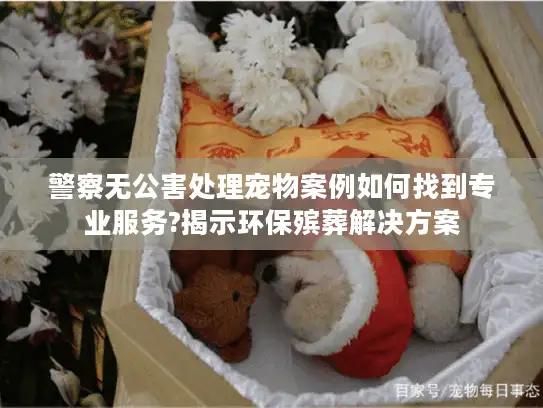 警察无公害处理宠物案例如何找到专业服务?揭示环保殡葬解决方案