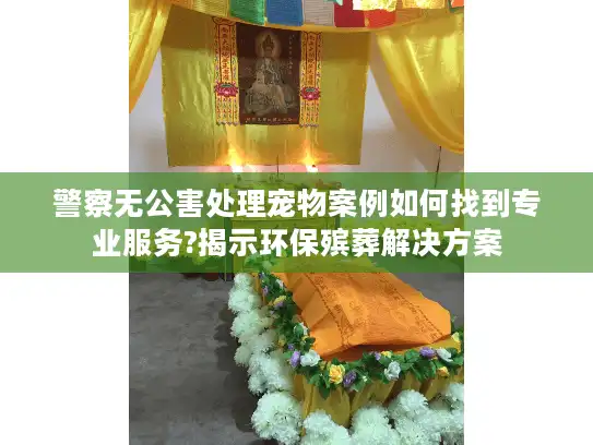 警察无公害处理宠物案例如何找到专业服务?揭示环保殡葬解决方案
