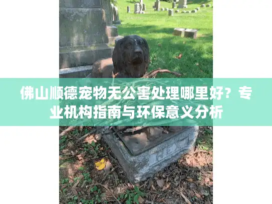 佛山顺德宠物无公害处理哪里好？专业机构指南与环保意义分析