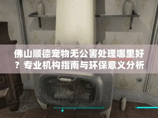 佛山顺德宠物无公害处理哪里好？专业机构指南与环保意义分析