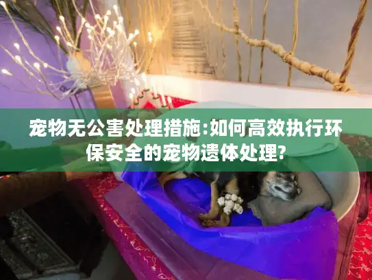 宠物无公害处理措施:如何高效执行环保安全的宠物遗体处理?