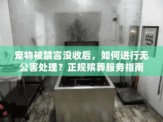 宠物被禁言没收后，如何进行无公害处理？正规殡葬服务指南