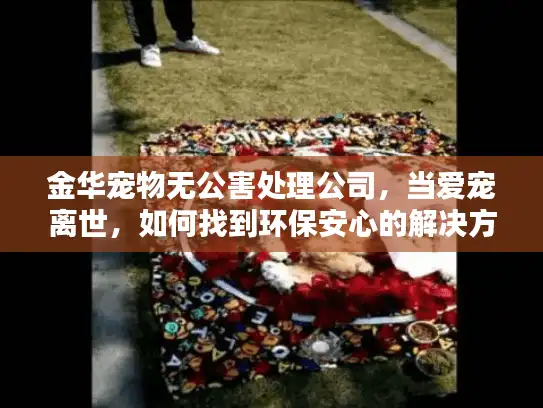 金华宠物无公害处理公司，当爱宠离世，如何找到环保安心的解决方案？