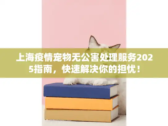 上海疫情宠物无公害处理服务2025指南，快速解决你的担忧！