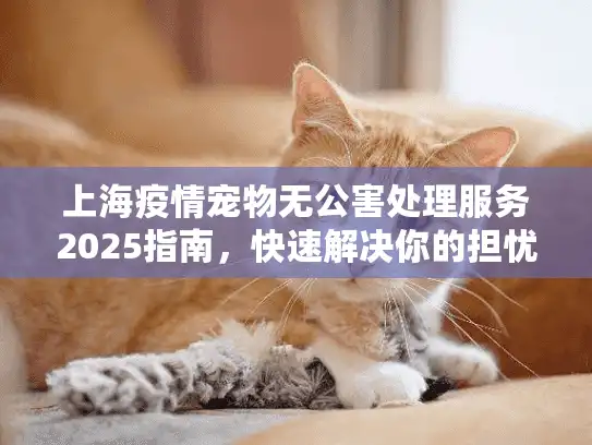 上海疫情宠物无公害处理服务2025指南，快速解决你的担忧！