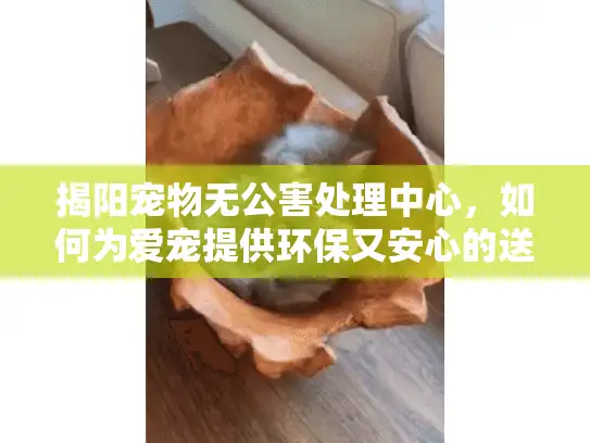 揭阳宠物无公害处理中心，如何为爱宠提供环保又安心的送别服务？
