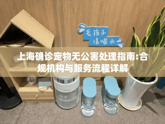上海确诊宠物无公害处理指南:合规机构与服务流程详解