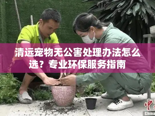清远宠物无公害处理办法怎么选？专业环保服务指南