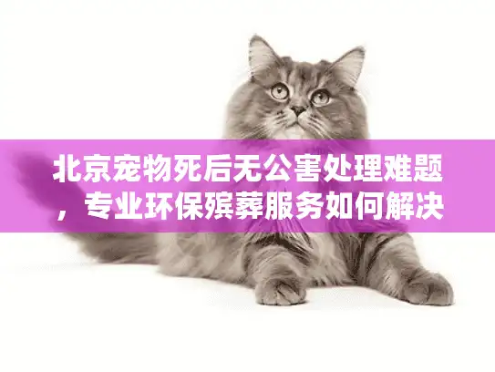 北京宠物死后无公害处理难题，专业环保殡葬服务如何解决？