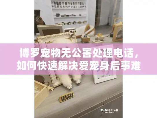 博罗宠物无公害处理电话，如何快速解决爱宠身后事难题
