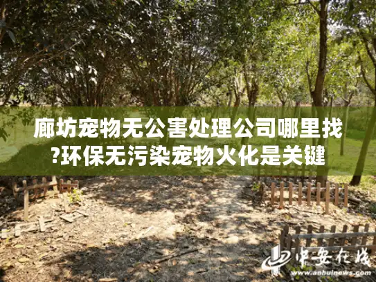 廊坊宠物无公害处理公司哪里找?环保无污染宠物火化是关键