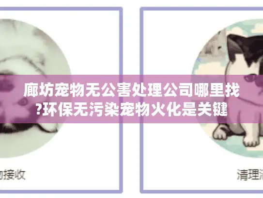 廊坊宠物无公害处理公司哪里找?环保无污染宠物火化是关键