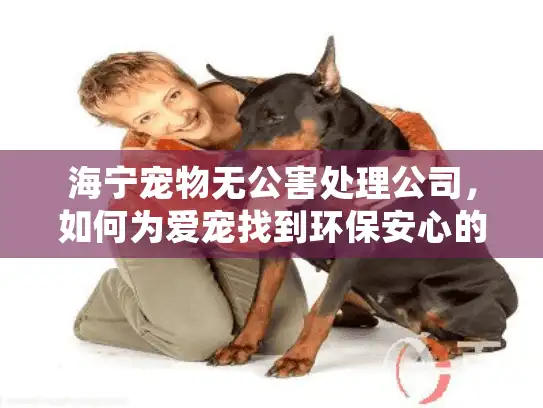海宁宠物无公害处理公司，如何为爱宠找到环保安心的告别方式