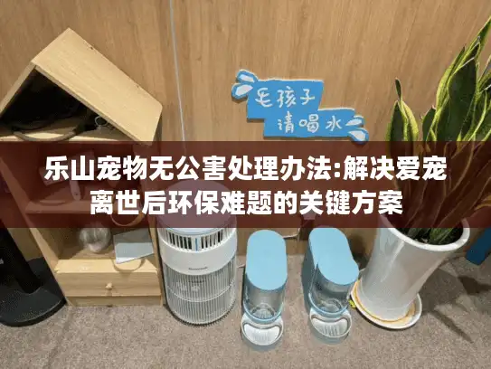 乐山宠物无公害处理办法:解决爱宠离世后环保难题的关键方案
