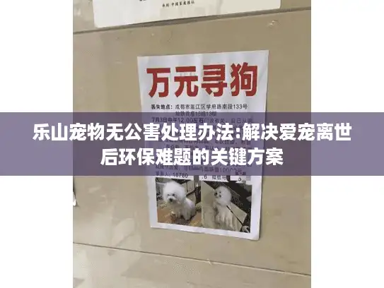 乐山宠物无公害处理办法:解决爱宠离世后环保难题的关键方案