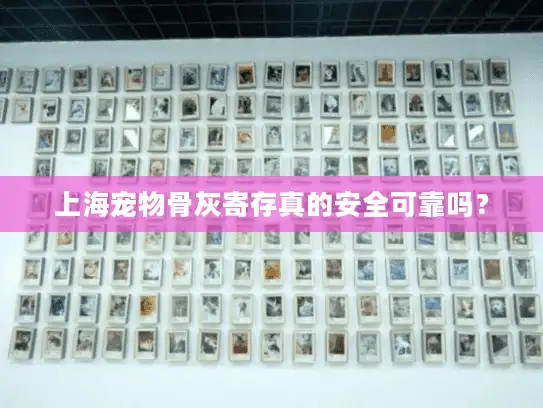 上海宠物骨灰寄存真的安全可靠吗？