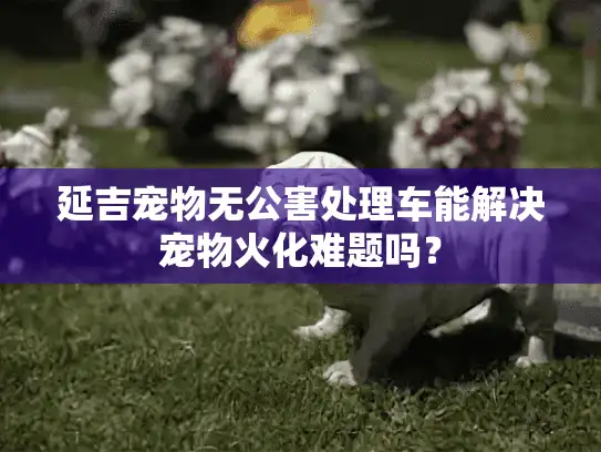 延吉宠物无公害处理车能解决宠物火化难题吗？
