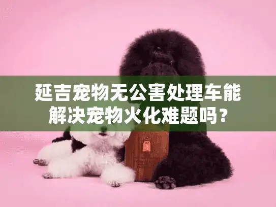 延吉宠物无公害处理车能解决宠物火化难题吗？