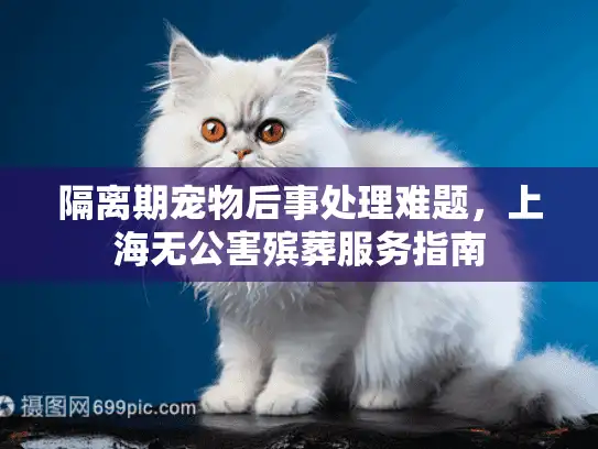 隔离期宠物后事处理难题，上海无公害殡葬服务指南