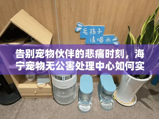 告别宠物伙伴的悲痛时刻，海宁宠物无公害处理中心如何实现环保殡葬？
