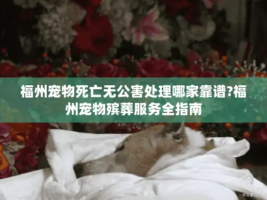 福州宠物死亡无公害处理哪家靠谱?福州宠物殡葬服务全指南