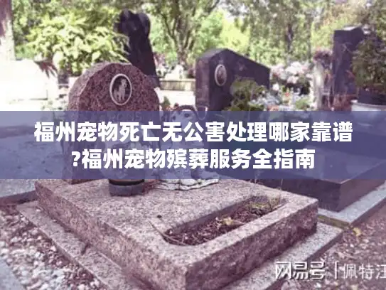 福州宠物死亡无公害处理哪家靠谱?福州宠物殡葬服务全指南