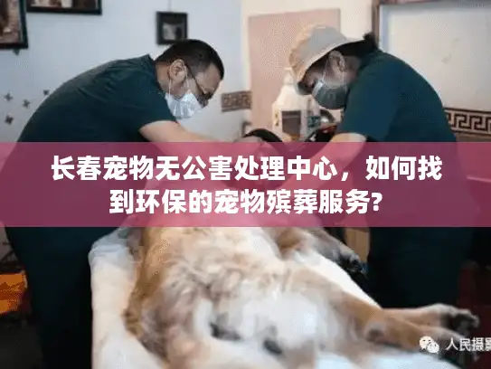 长春宠物无公害处理中心，如何找到环保的宠物殡葬服务?