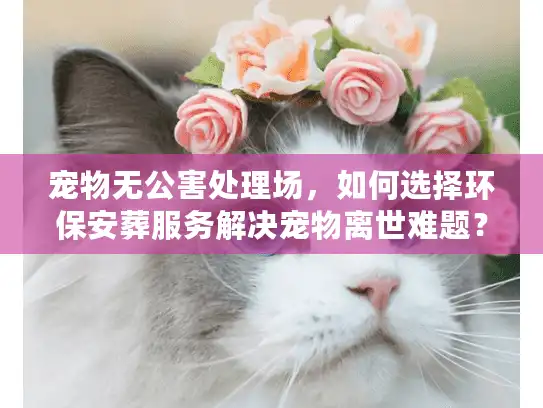 宠物无公害处理场，如何选择环保安葬服务解决宠物离世难题？