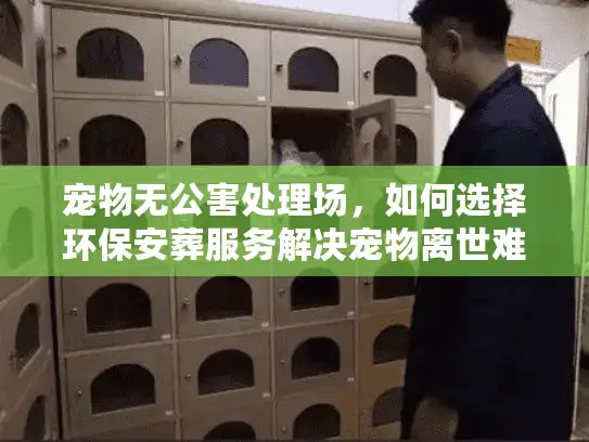 宠物无公害处理场，如何选择环保安葬服务解决宠物离世难题？