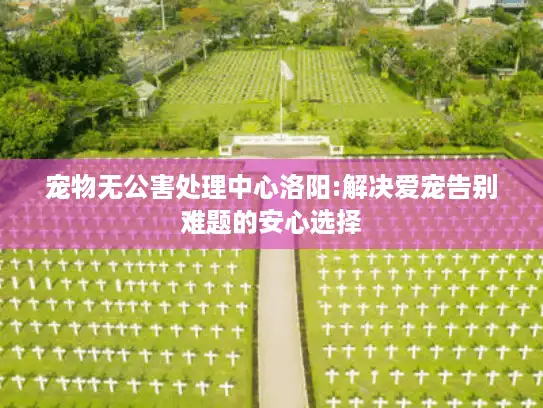 宠物无公害处理中心洛阳:解决爱宠告别难题的安心选择