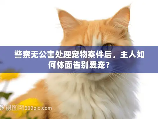 警察无公害处理宠物案件后，主人如何体面告别爱宠？