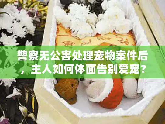 警察无公害处理宠物案件后，主人如何体面告别爱宠？