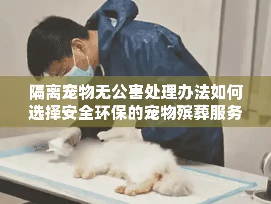 隔离宠物无公害处理办法如何选择安全环保的宠物殡葬服务？