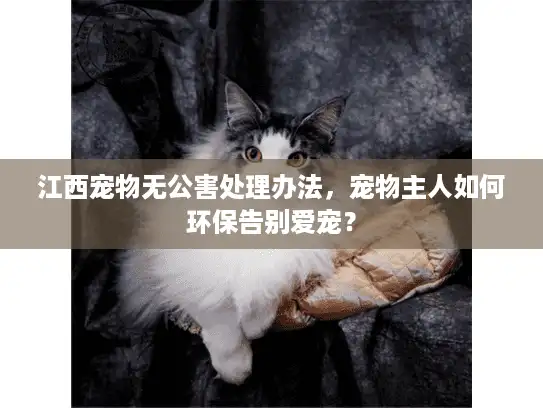 江西宠物无公害处理办法，宠物主人如何环保告别爱宠？