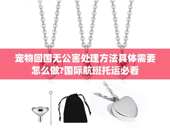 宠物回国无公害处理方法具体需要怎么做?国际航班托运必看