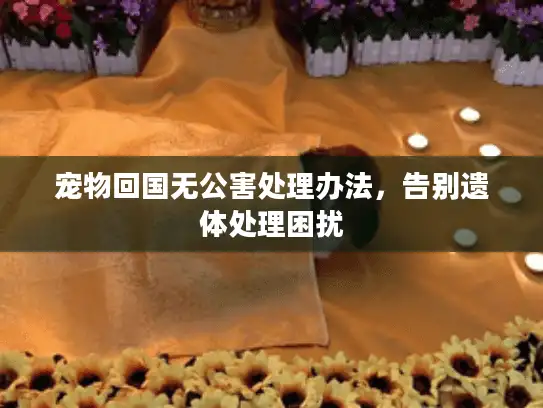 宠物回国无公害处理办法，告别遗体处理困扰