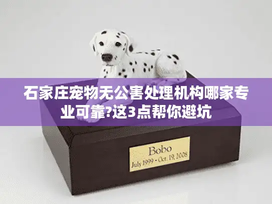 石家庄宠物无公害处理机构哪家专业可靠?这3点帮你避坑