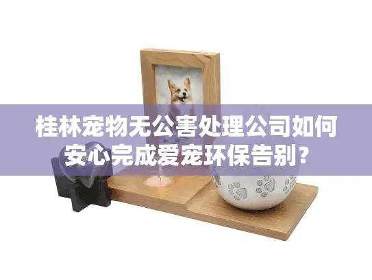 桂林宠物无公害处理公司如何安心完成爱宠环保告别？
