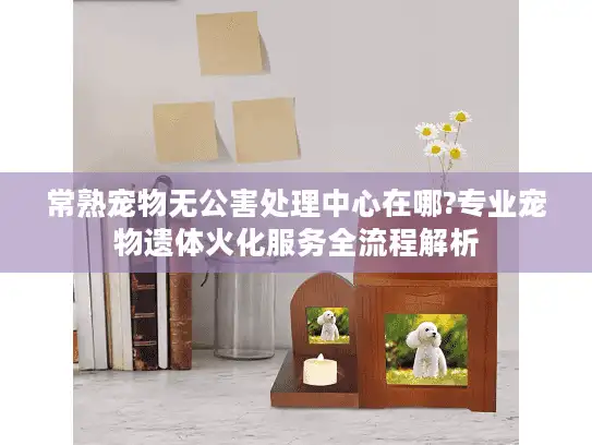 常熟宠物无公害处理中心在哪?专业宠物遗体火化服务全流程解析