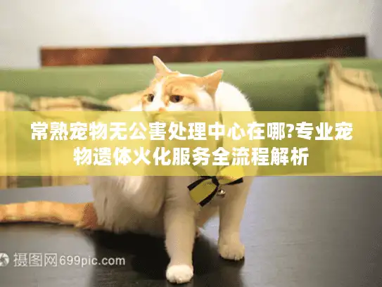 常熟宠物无公害处理中心在哪?专业宠物遗体火化服务全流程解析