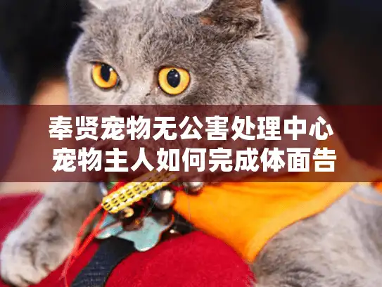 奉贤宠物无公害处理中心 宠物主人如何完成体面告别
