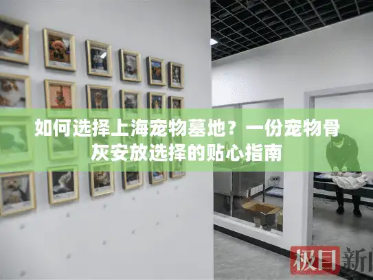 如何选择上海宠物墓地？一份宠物骨灰安放选择的贴心指南