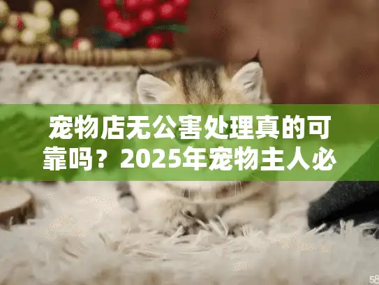 宠物店无公害处理真的可靠吗？2025年宠物主人必知的避坑指南
