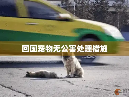 回国宠物无公害处理措施