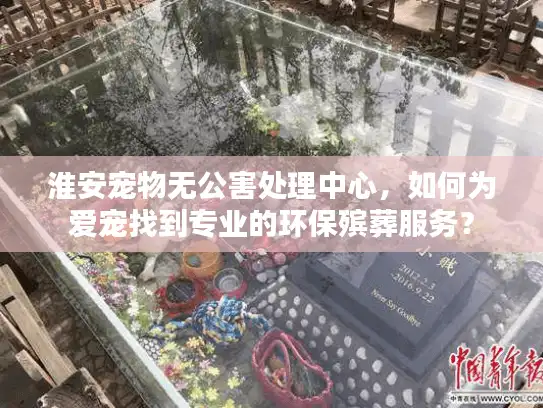 淮安宠物无公害处理中心，如何为爱宠找到专业的环保殡葬服务？