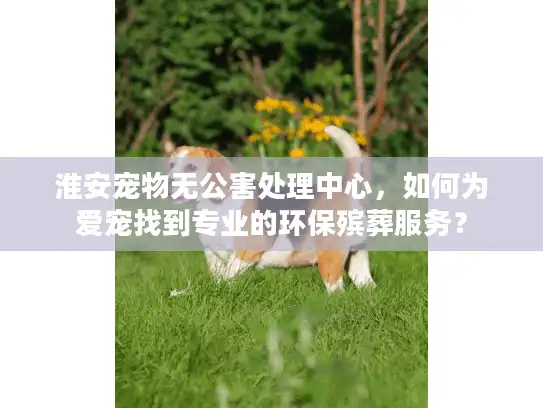 淮安宠物无公害处理中心，如何为爱宠找到专业的环保殡葬服务？