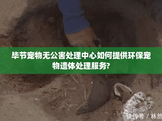 毕节宠物无公害处理中心如何提供环保宠物遗体处理服务?