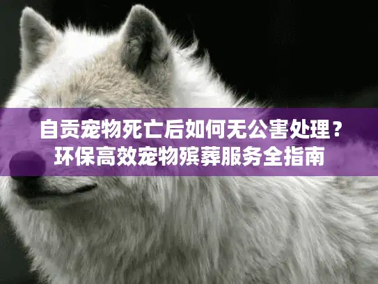 自贡宠物死亡后如何无公害处理？环保高效宠物殡葬服务全指南